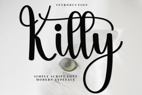 Kitty Font: A Free Download for Stylish Script Design